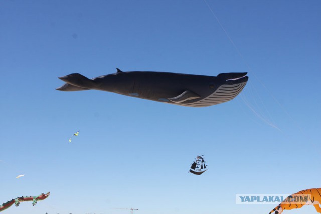 Выглядит как-будто корабль парит в небесах...