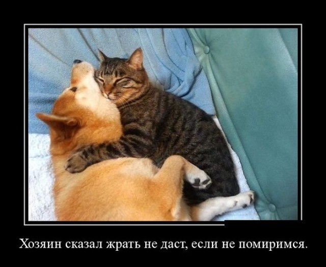 Горячие демотиваторы