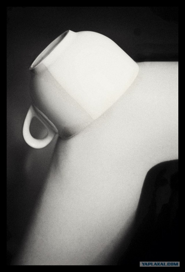 В волчьей стае..