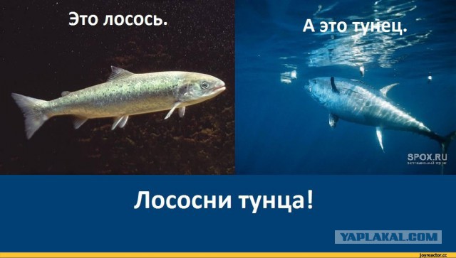 Швеция отчитала Россию