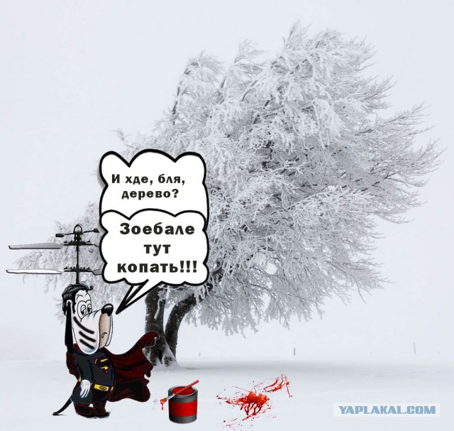 Исчезающая собака