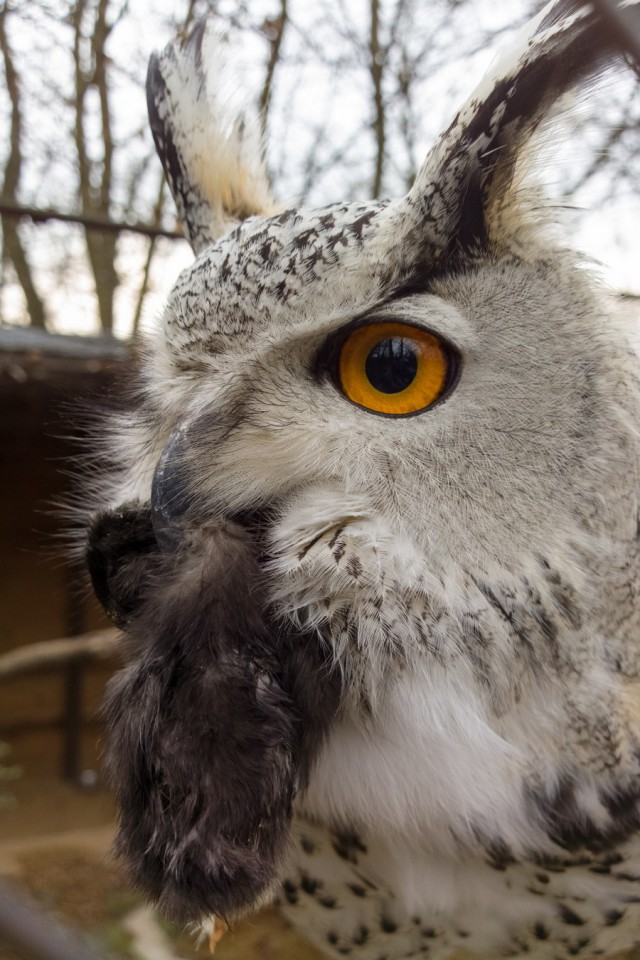 Подборка картинок 29.02.16