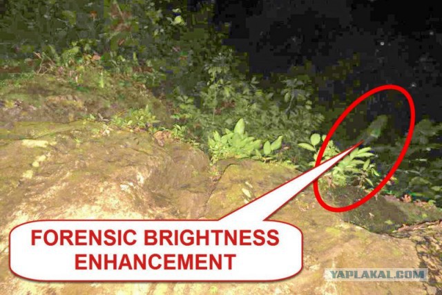 Исчезновение и трагическая гибель Лисанн Фрон и Крис Кремерс