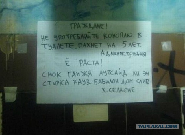 Картинки