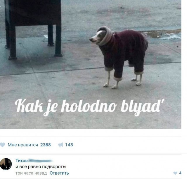 Порция картинок из сети