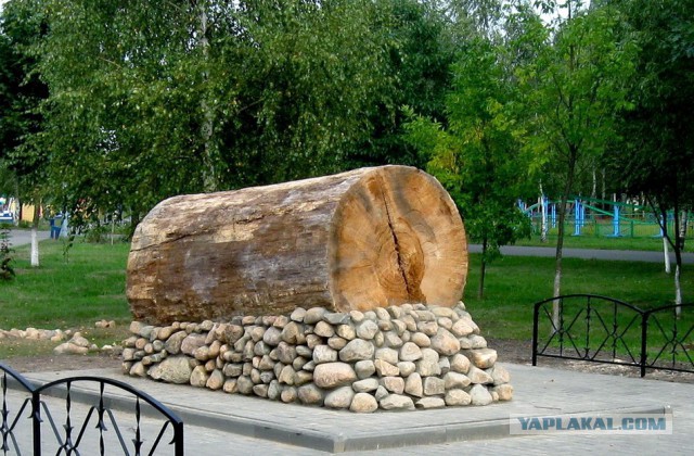 Странный альтернативный юмор
