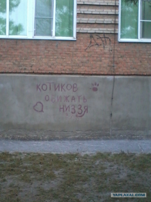 Он лежал возле гаражей в 2-х метрах от мусорного бака...