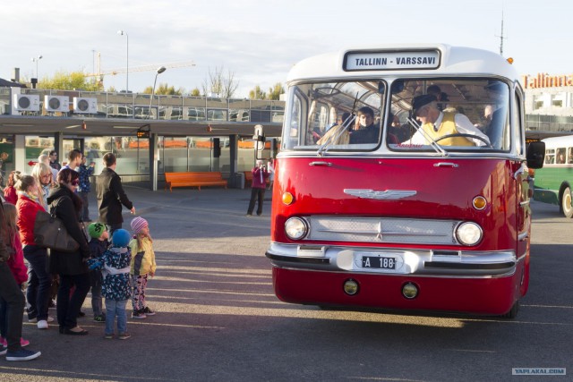 Ikarus 55 Lux "Сигара". Восставший красавчик