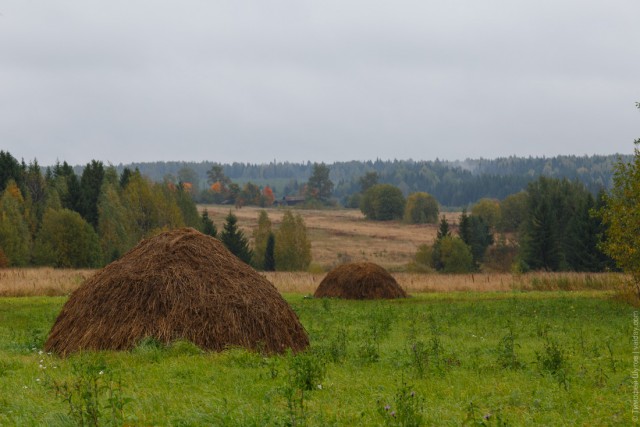 Провинциальная Россия. Вохма