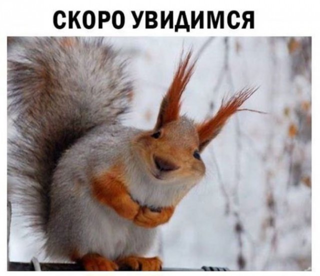 Подборка интересных и веселых картинок