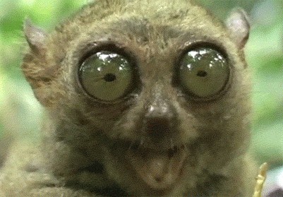 Анекдоты на тяпницу!