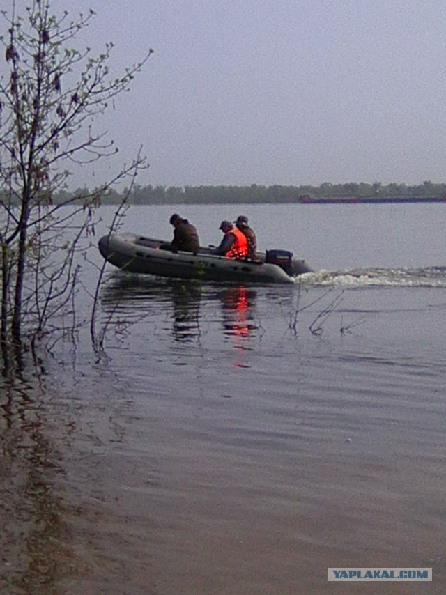 Командировка. В леса