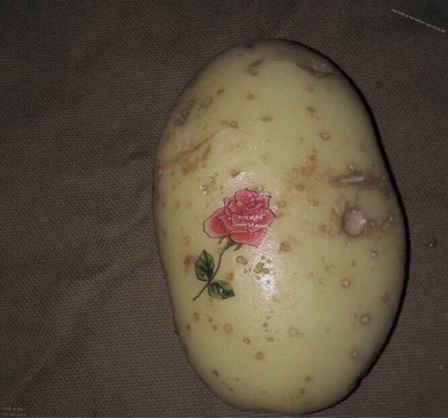 Картинки понедельника