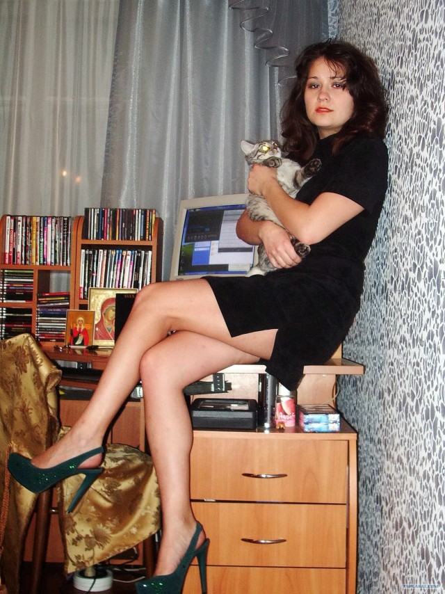 Котовторник (10.01.2012)