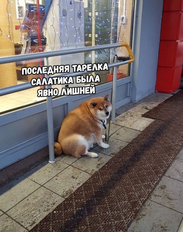 Немного картинок для настроения