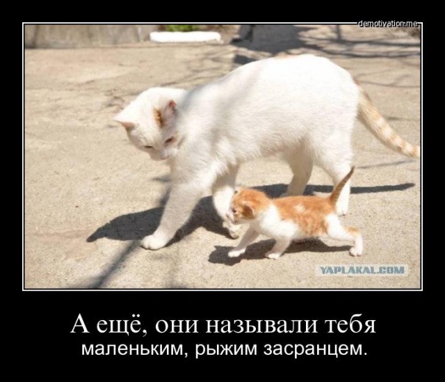 Слышь шкет, ты точно с нашего района?..