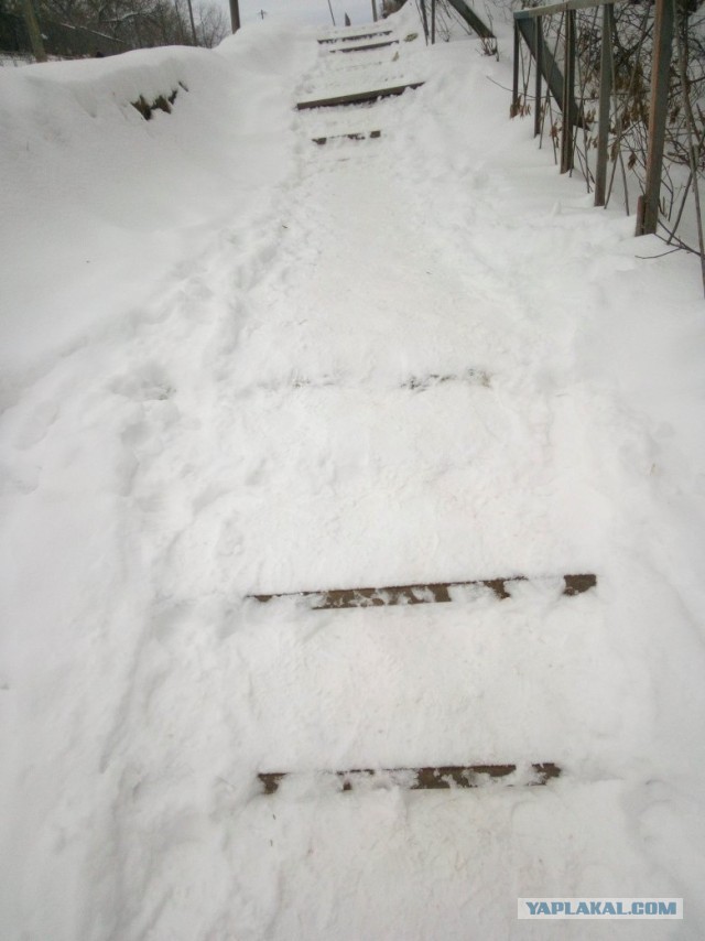 Санкт-Петербург. 25 декабря. Уборка снега