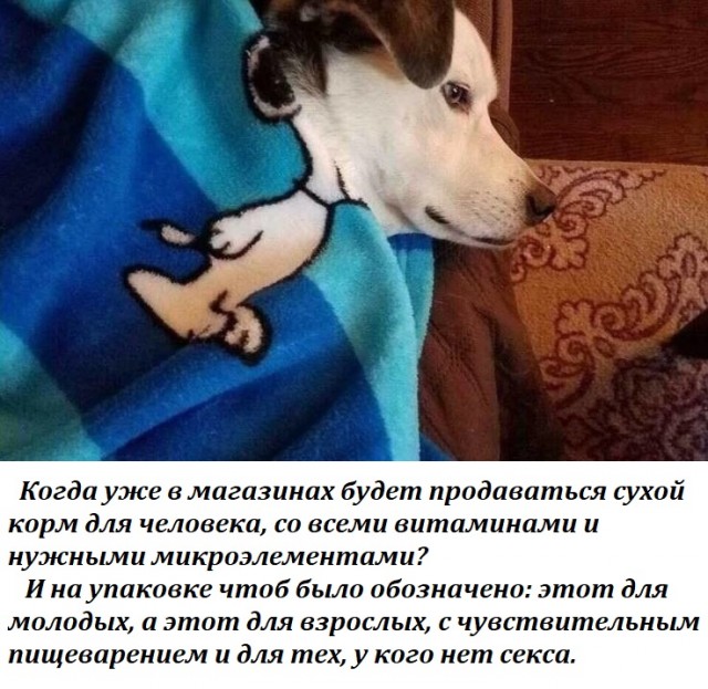 Веселые картинки.