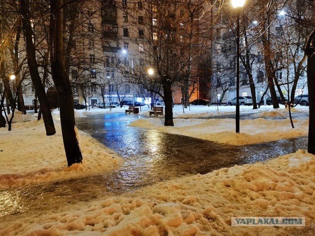 Москва сегодня превратилась в бесплатный каток из-за гололедицы