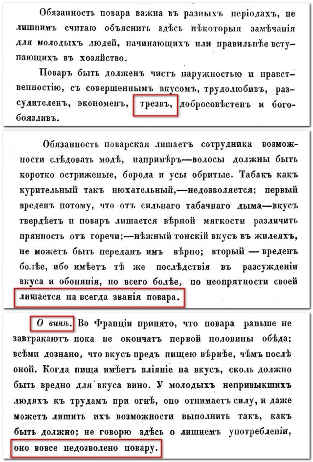 Немного об иваси