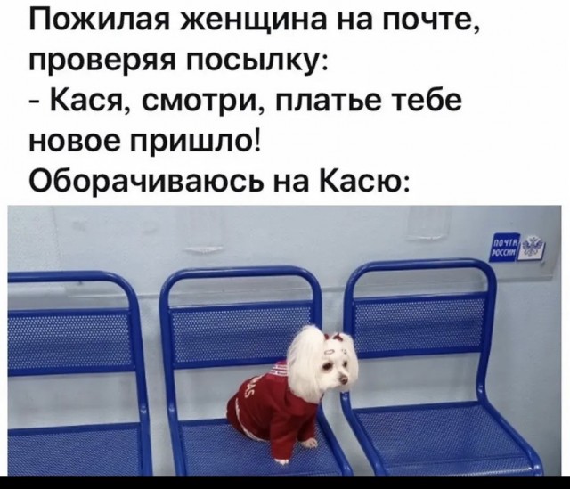 Так себе картинки 25.08.21
