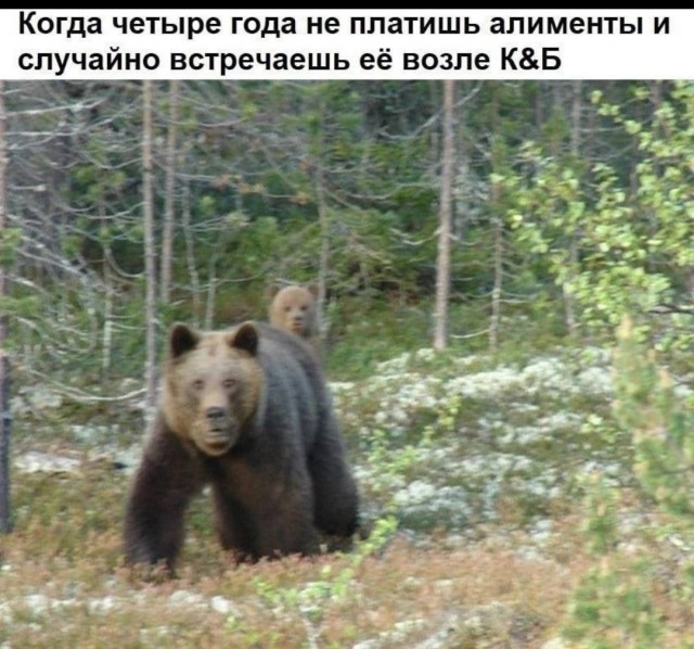 Картинки аморальные и всякие разные - 19