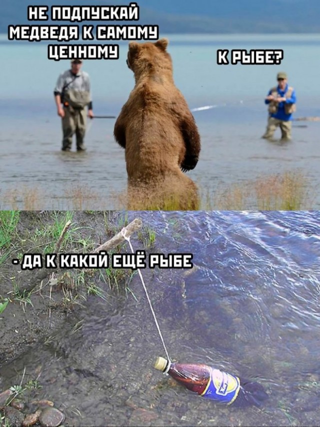 Картинки и мемы для настроения - 27