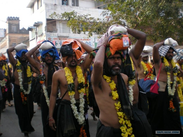 Индия 2007 - 2008 г.