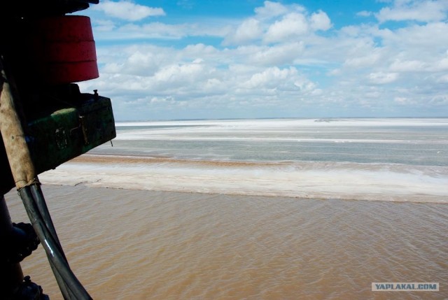 Вот в чем вся соль!