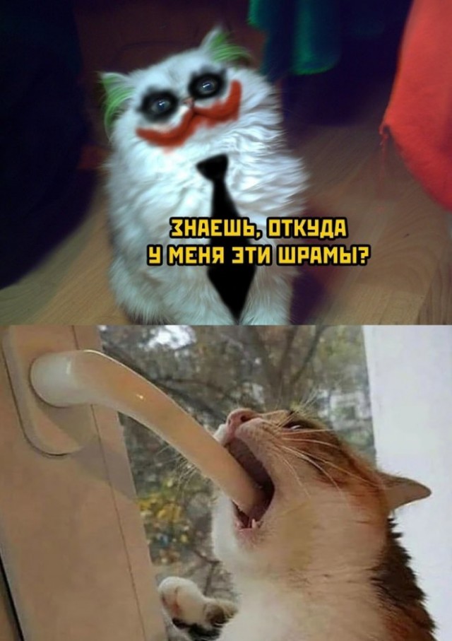 Так себе картинки 07.11.22