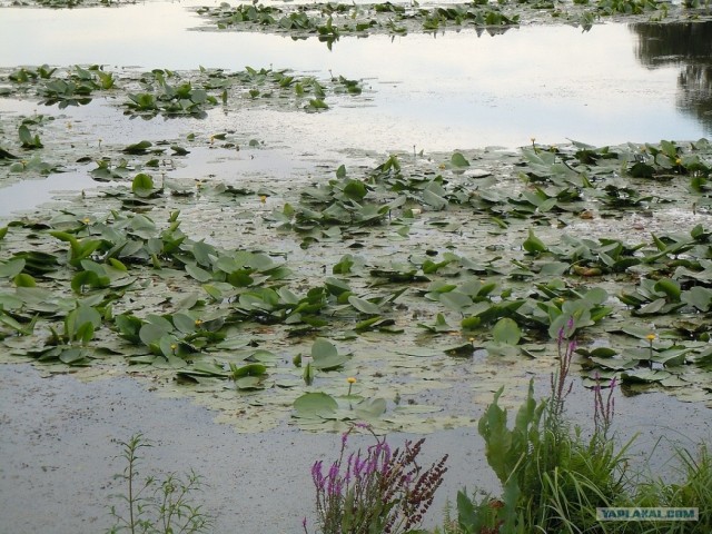 Путешествие по Западной Украине
