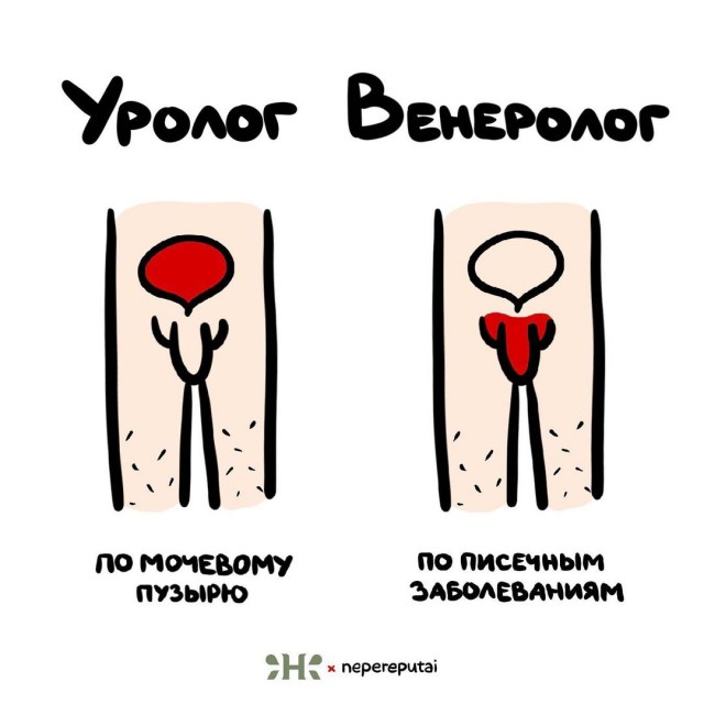 Смотри, Кутузов, не перепутай...