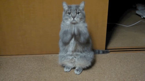 Что-то мы давно не плясали