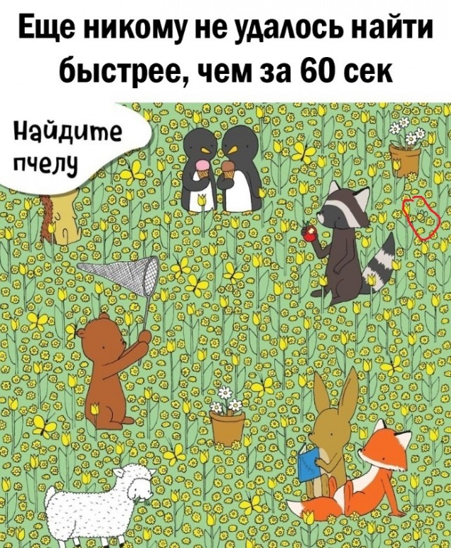 Так себе картинки 28.10.23