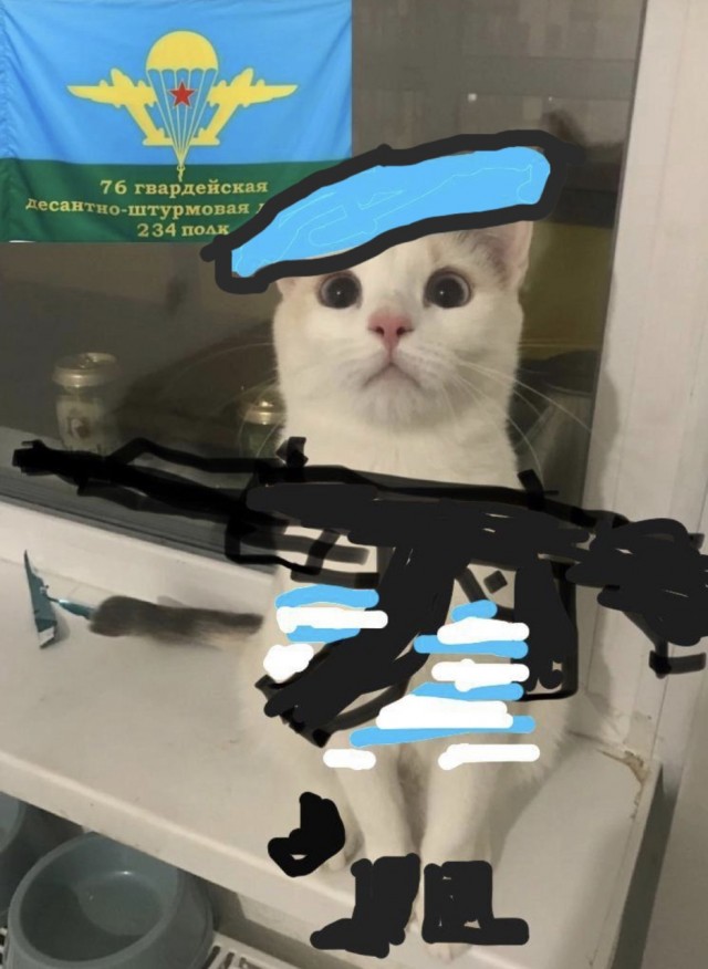Котокартинки