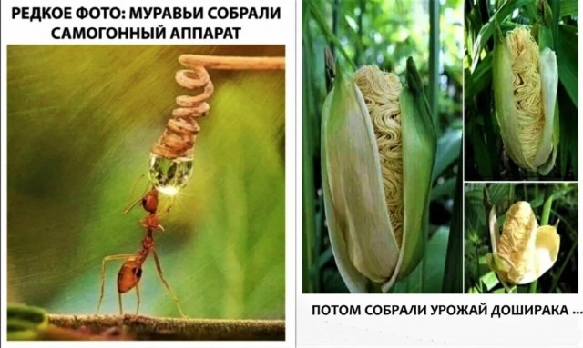 Интересно получается