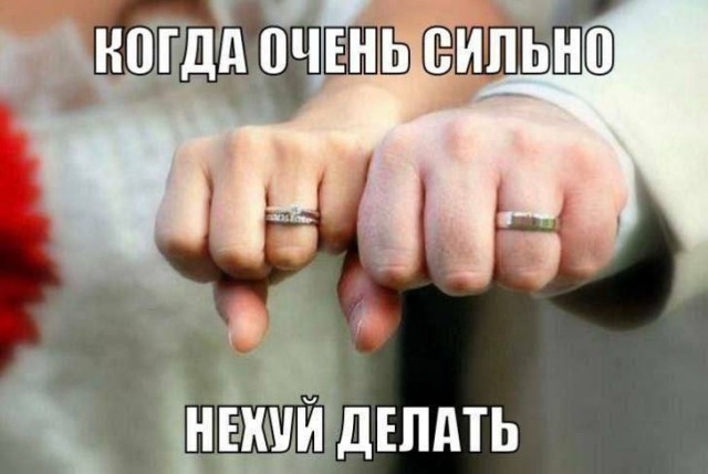 Всего понемногу. От 23.02.24