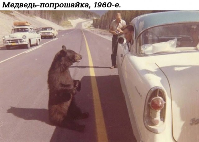 Небольшая подборка истрических фото (15.05)