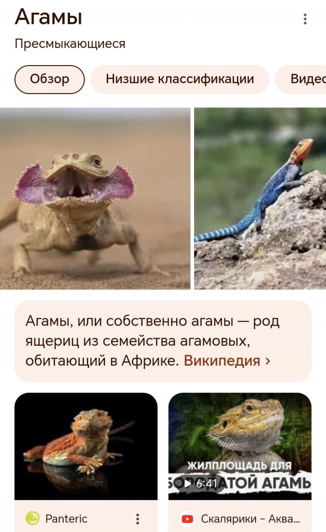 Веселая ферма: лежу в больнице, поглядывая авито