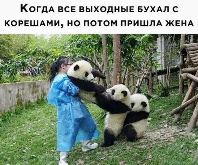 Завалялось тут случайно немного забавных картинок