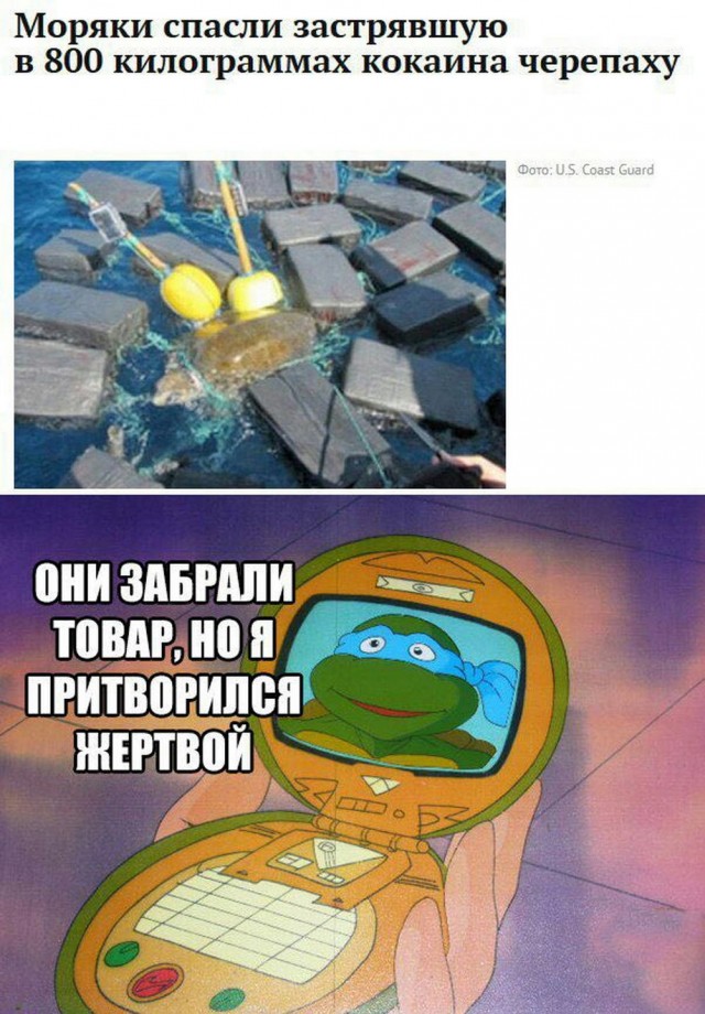 Нуштош 21.10.2024