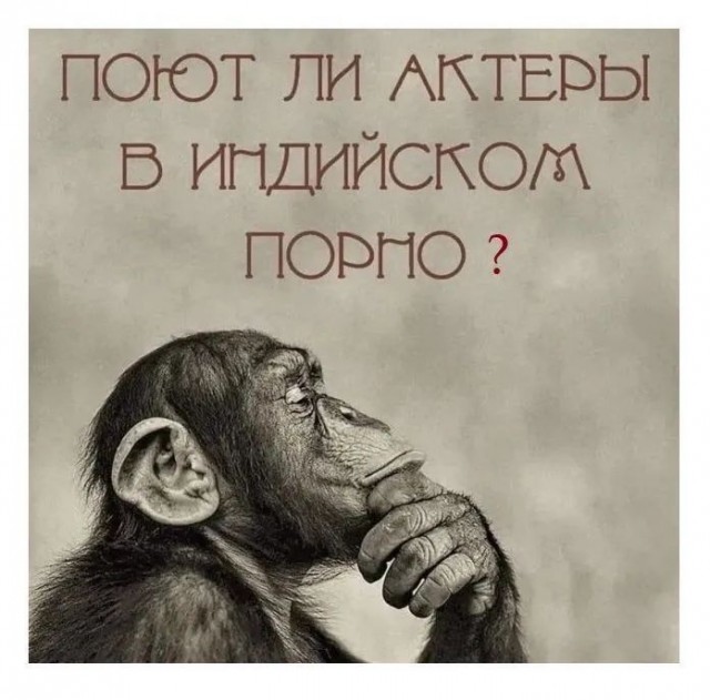 19532889.jpg