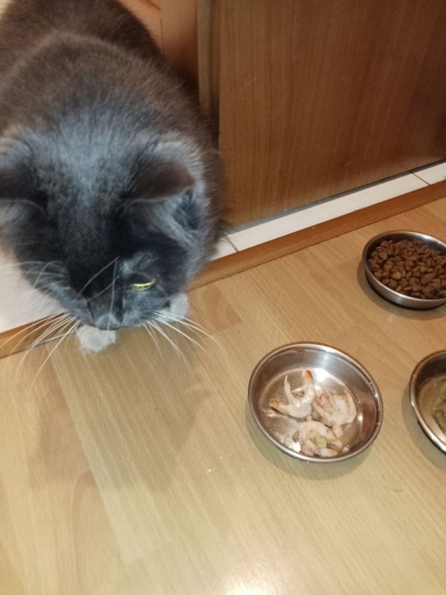 Третий круг