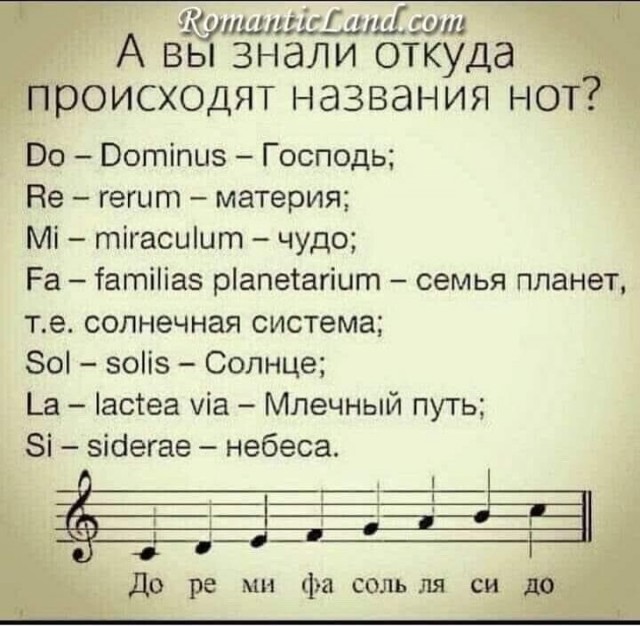 Прикольные и просто красивые картинки 13.12.2024