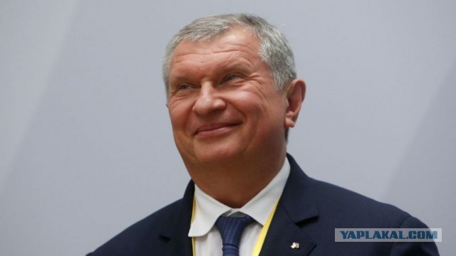 Спрос на летние туры в Анапу упал почти в восемь раз из-за разлива мазута, по сравнению с 2024-м.