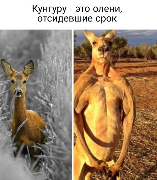 Так себе картинки 13.06.25