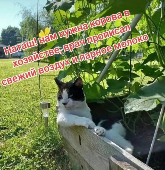 Так себе картинки 07.07.25