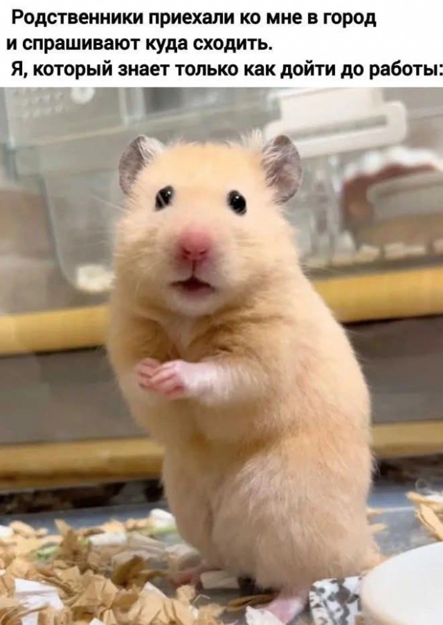 Пусть понедельник не будет столь тяжелым