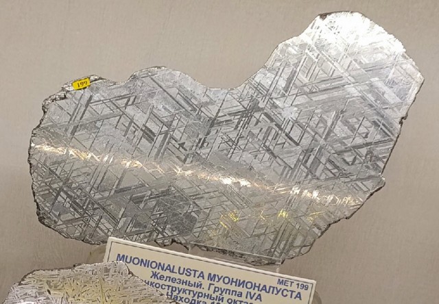 Поездка в палеонтологический музей