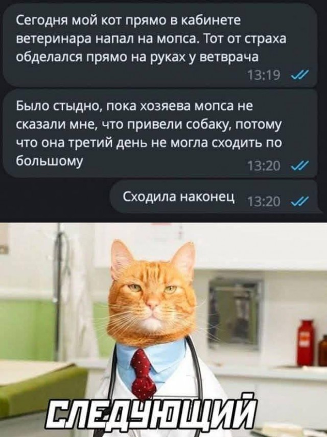 К котовторнику: подборка картинок-баянов с котиками и про котиков. Выпуск 27.